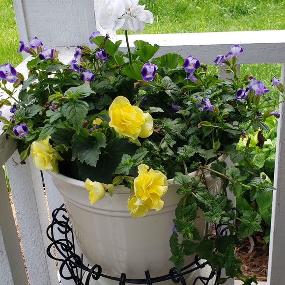 Meet your Posher, Mary - Picture 12 of 16